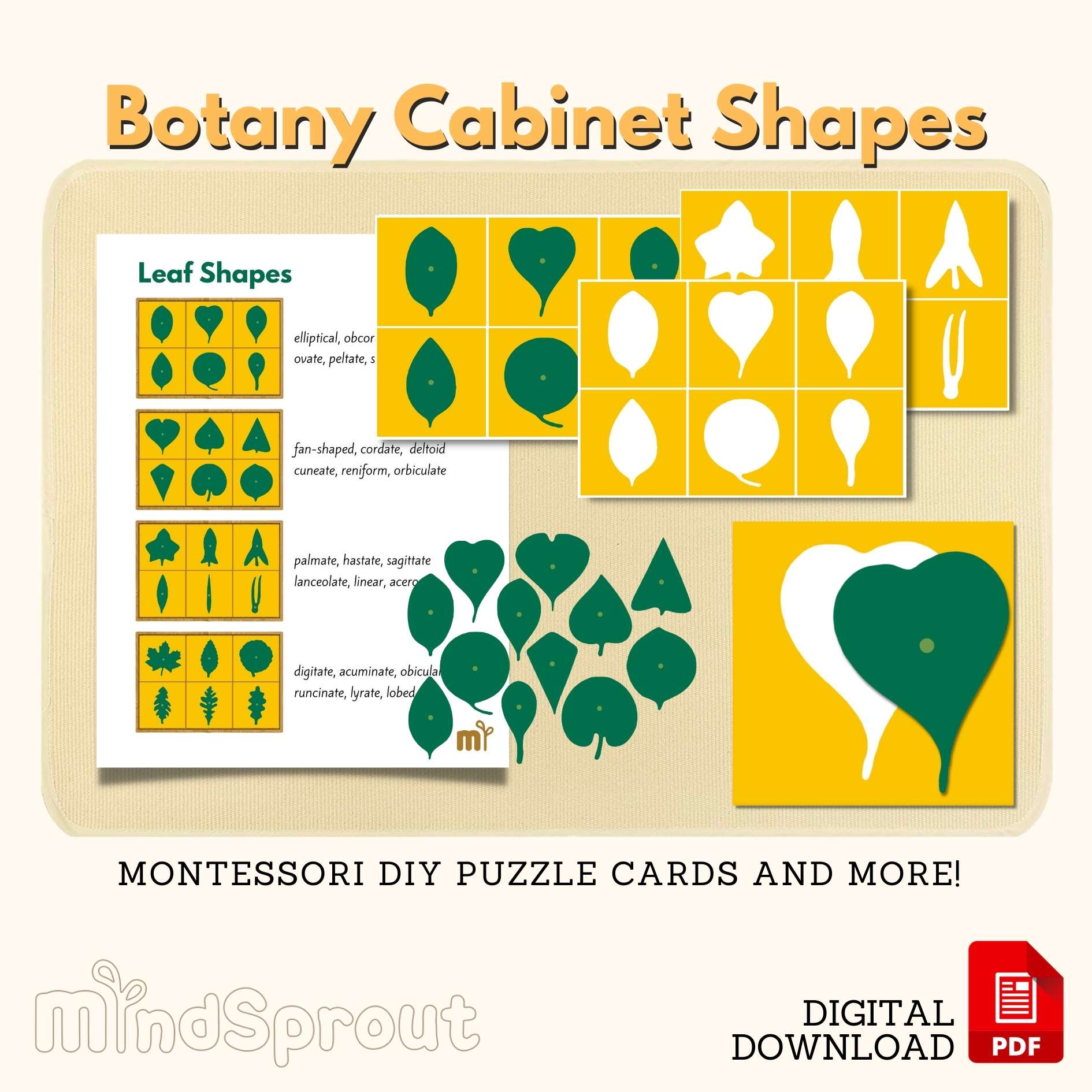 Botany Cabinet Shapes Montessori Botany Puzzle Cards Montessori Leaf Printable