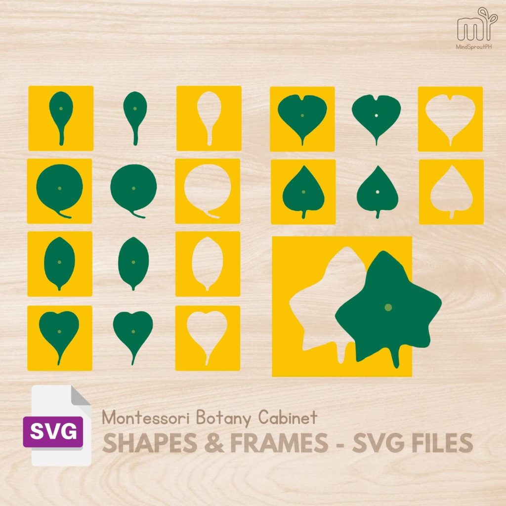 SVG Botany Cabinet Shapes Montessori Botany Puzzle Montessori Leaf SVG ...
