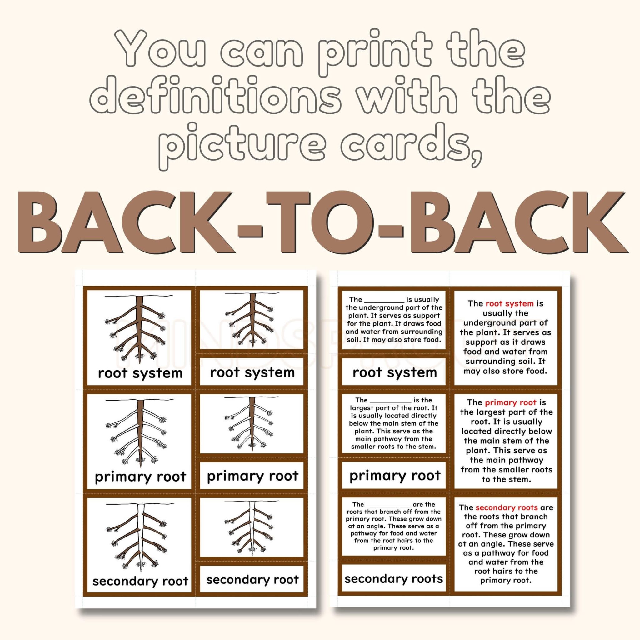 Parts of the ROOT Montessori Botany Unit Study 5-Part Card Definition ...