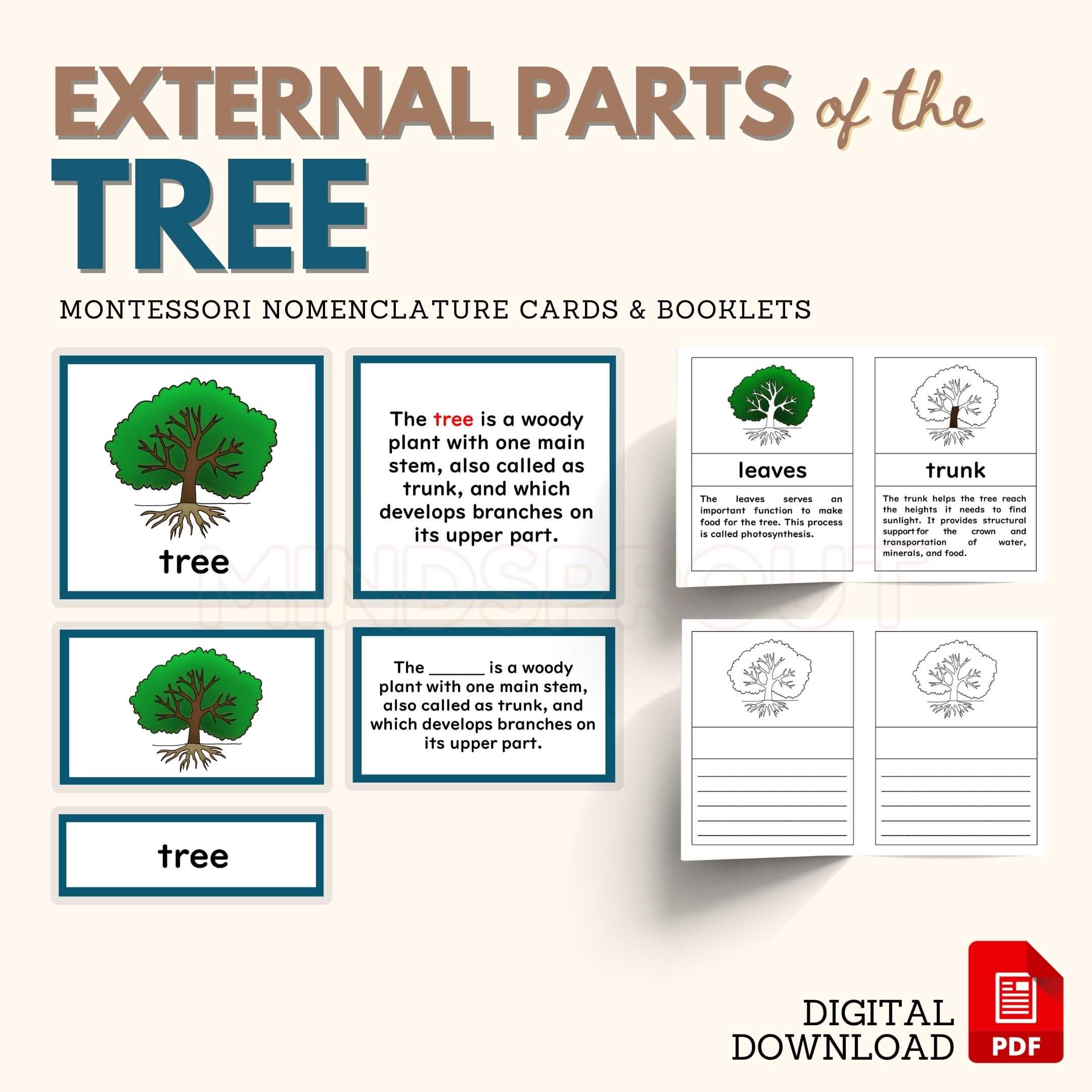 Parts of the TREE Montessori Botany Unit Study 5-Part Card Definition Booklets