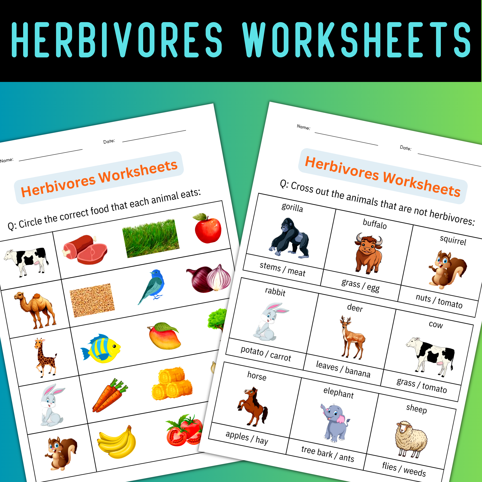 Printable Animal Classification - Herbivores Worksheets Activities for Grade 1