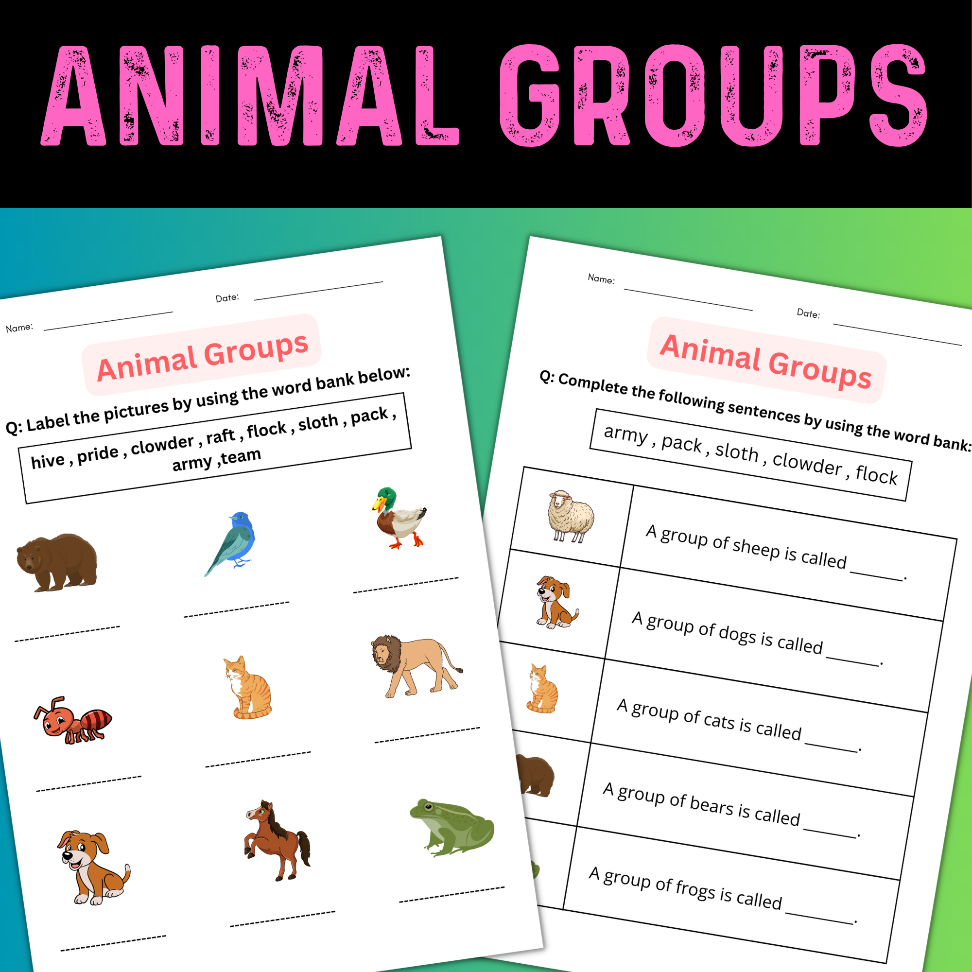 Printable Matching Animal Groups Worksheet for Grade 1, 2, 3