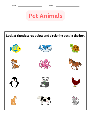 Printable Identifying and Mmatching Pet Animals Worksheet for Grade 1 ...