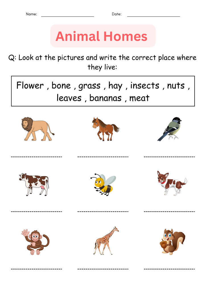 Printable Preschool Animals and Their Homes Worksheets for Grade 1, 2 ...