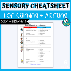 Classroom Sensory Tool Bundle for Occupational Therapists and Special ...