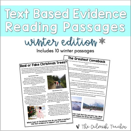 Winter Reading Passages with Text Based Evidence Questions