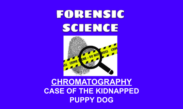 Forensic Science - Case of the Kidnapped Puppy Dog (Chromatography)