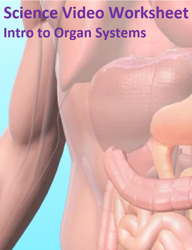 Intro to Organ Systems. Video sheet, Google Forms, Canvas, Easel & more (V3).