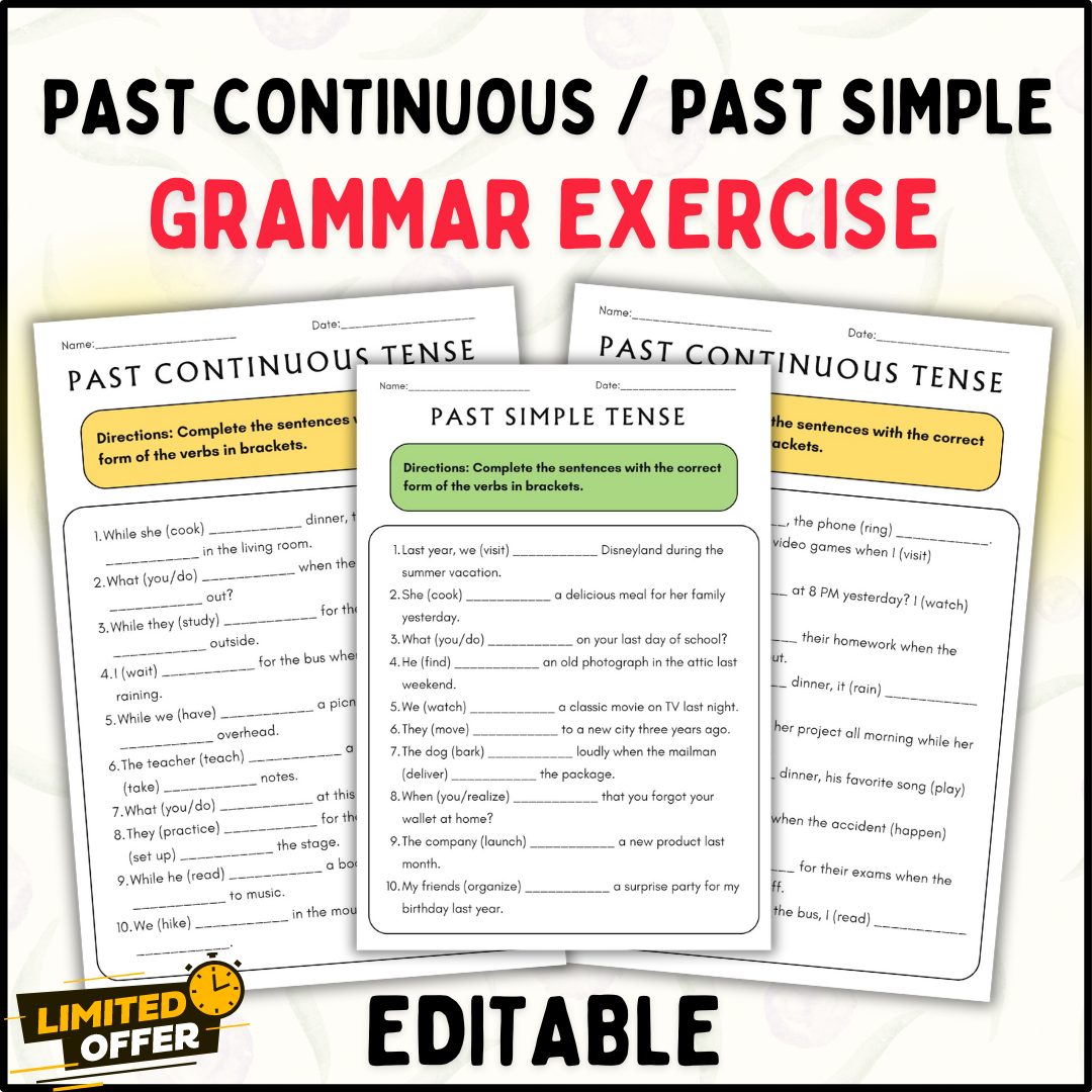 Past Continuous and Past Simple Grammar Exercise Worksheets: Editable