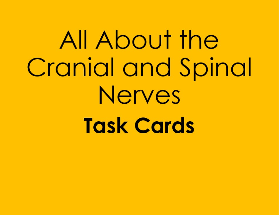 All About the Cranial and Spinal Nerves Task Cards (Nervous System, A&P)
