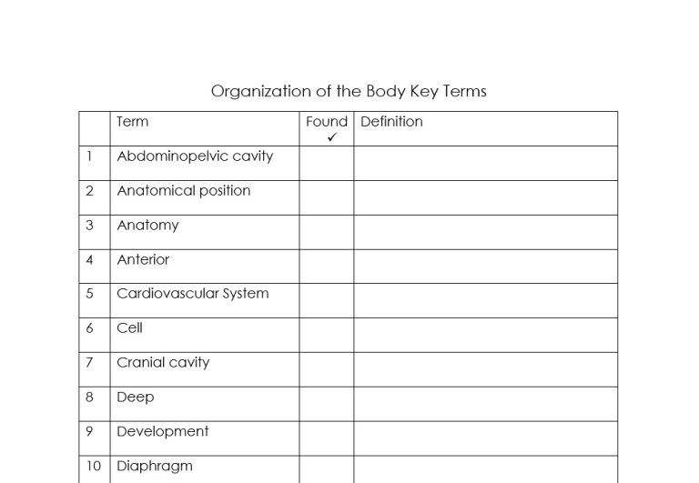 Organization of the Human Body Word Collage (Coloring, Anatomy, Biology ...