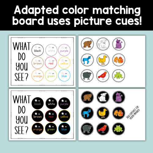 Adapted Brown Bear Book Companion Activities, Special Edu, Visually ...