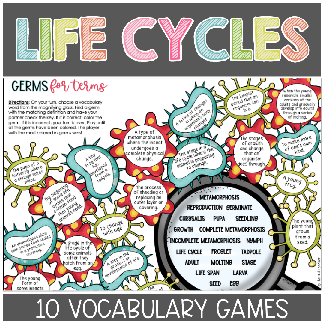 Life Cycle Science Vocabulary Games