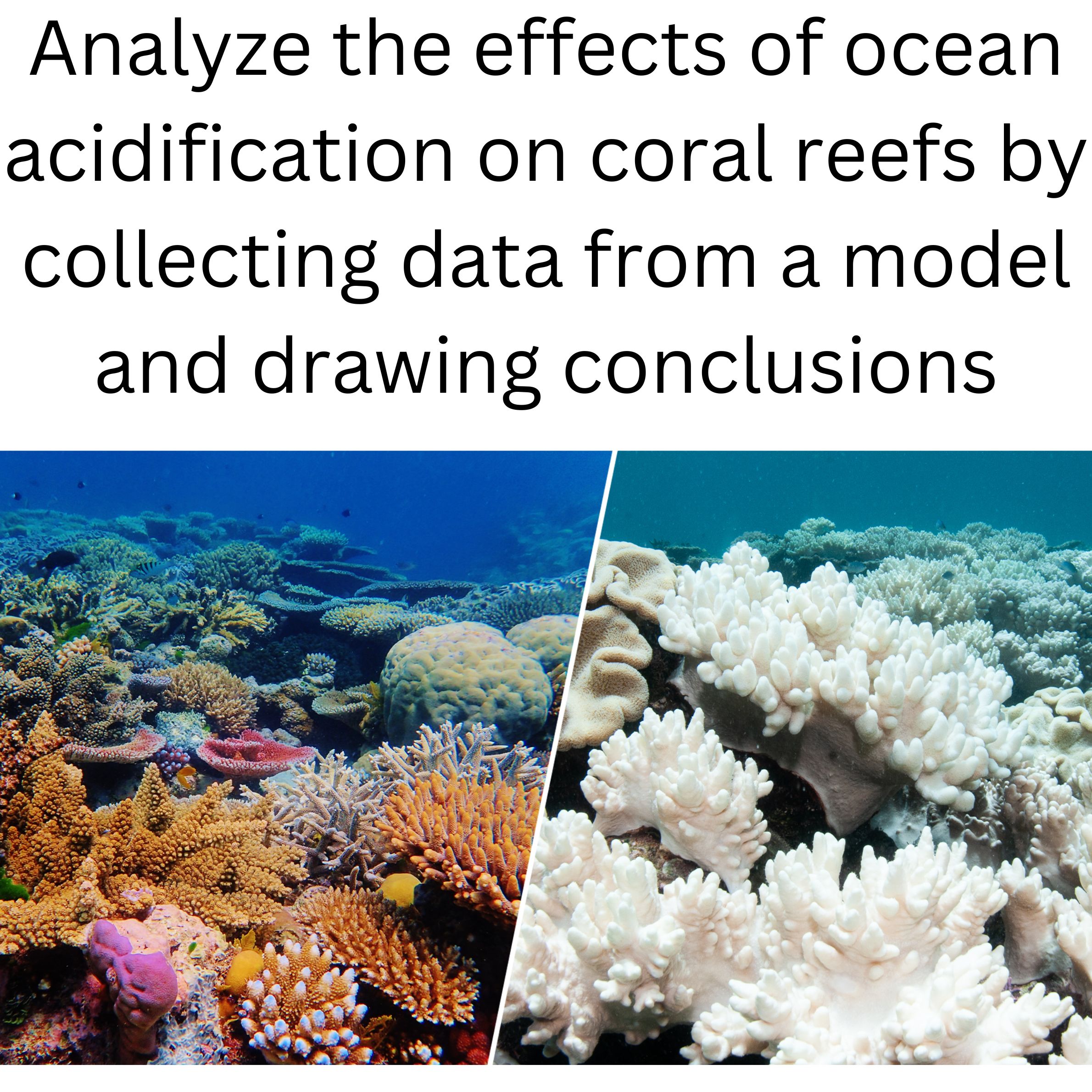 Oceanography Acidification of the Earth's oceans lab Global Warming Earth Day
