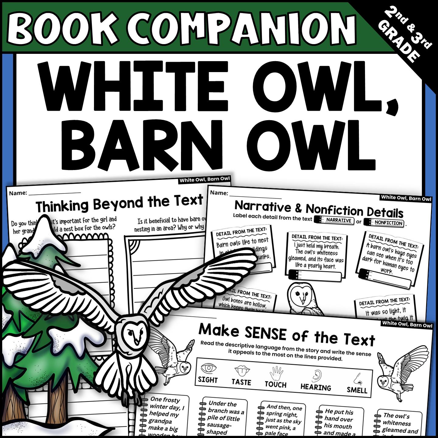 White Owl, Barn Owl Book Companion and Interactive Read-Aloud Activities
