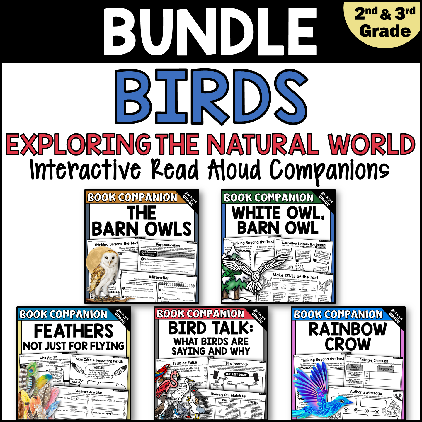 Birds Exploring the Natural World Interactive Read Aloud Activities BUNDLE