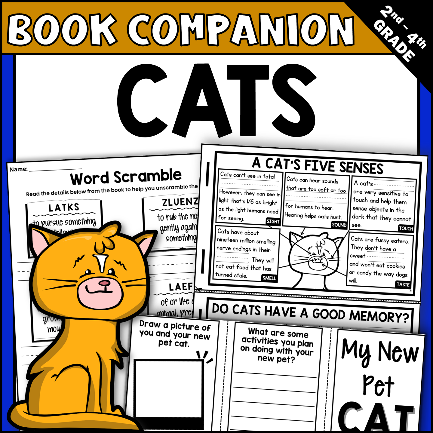 Cats by Seymour Simon Interactive Read Aloud Book Companion Activities for IRA