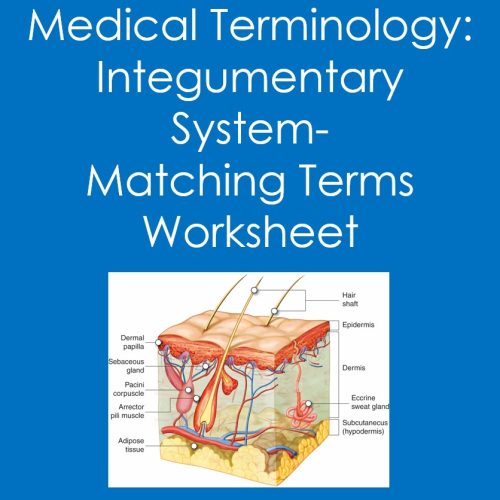 Medical Terminology: Integumentary System- Matching Terms (Health ...