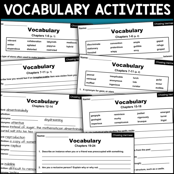 Chasing Vermeer Novel Study Vocabulary Activities - Made By Teachers