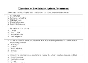 Disorders of the Urinary System Assessment (Anatomy and Physiology ...