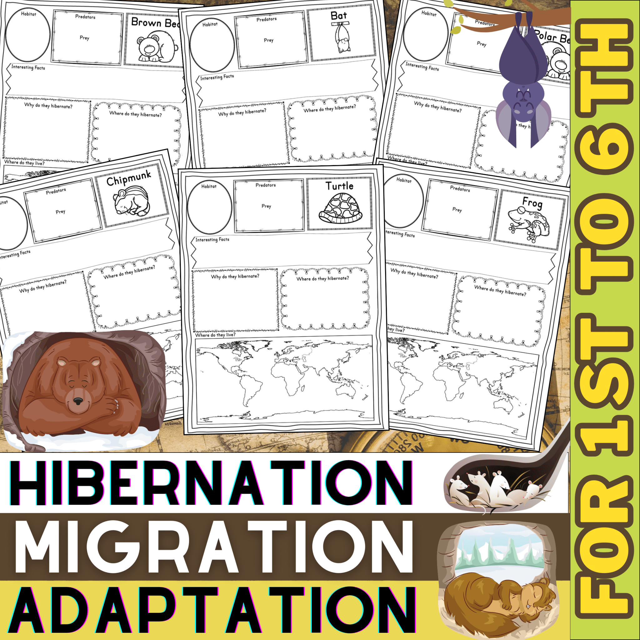 Hibernation, Migration and Adaptation | Animal Research Project ...