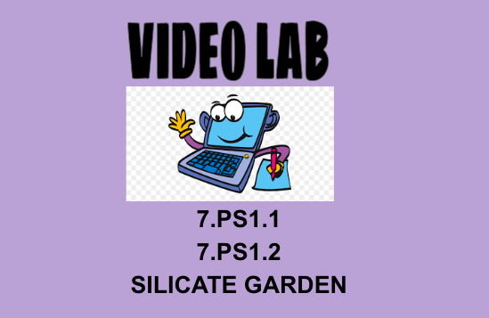 7.PS1.1, 7.PS1.2 Silicate Gardens Video Lab Activity OAS NGSS