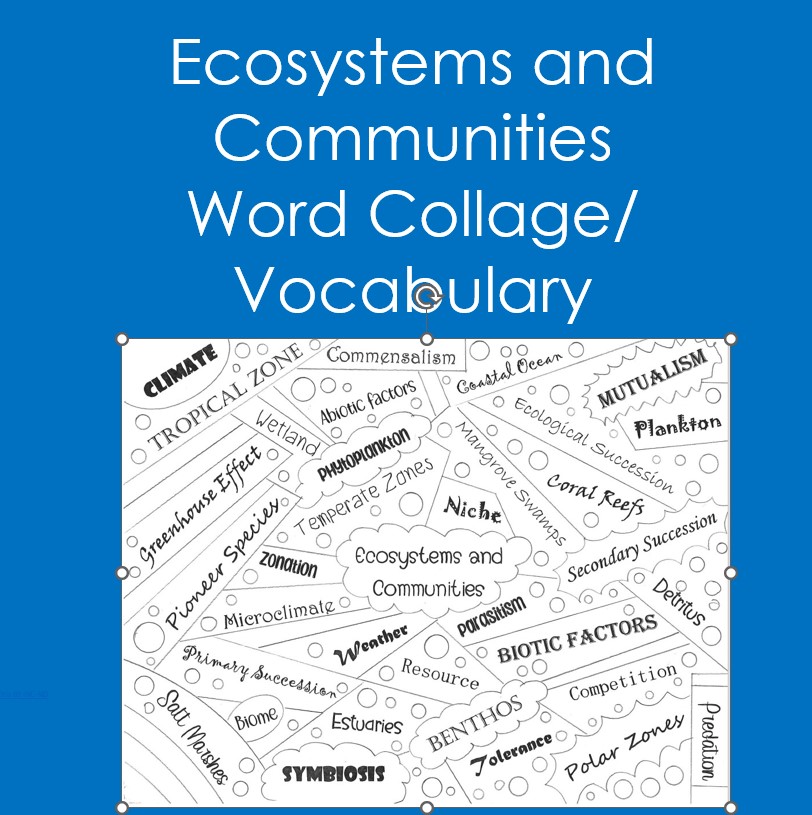 Ecosystems and Communities Word Collage (Biology, Coloring, Vocabulary)