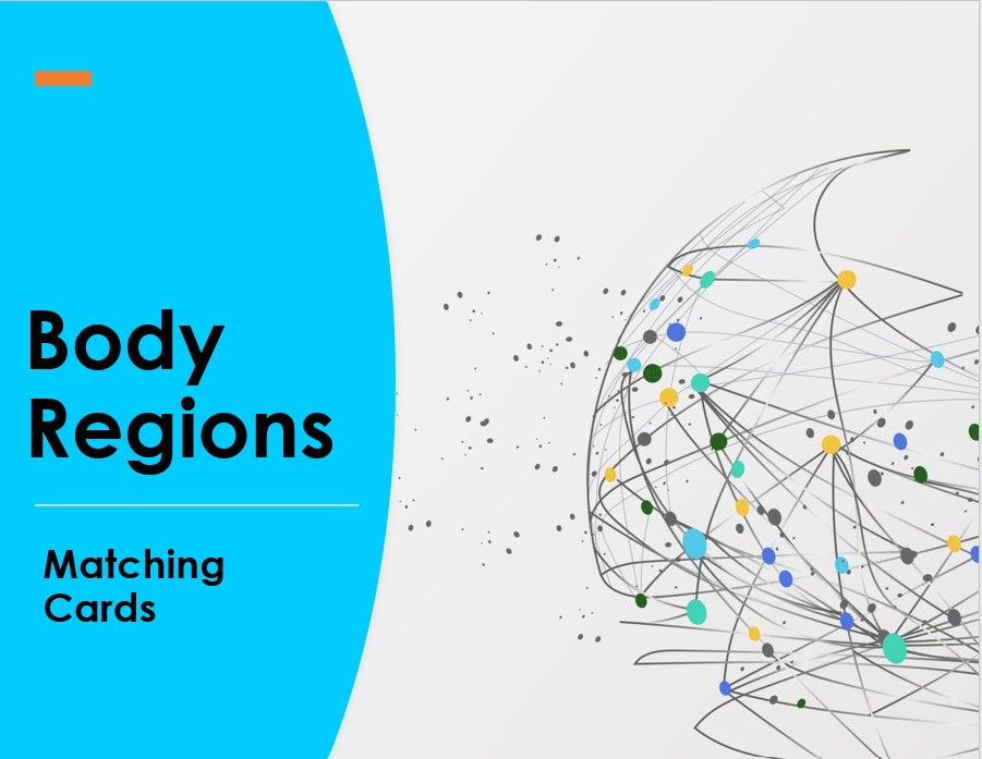 Body Regions Matching Terms (Anatomy and Physiology, Health Sciences)