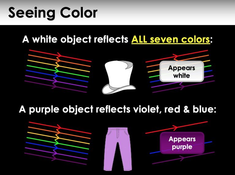 Light Optics Eye and Vision Unit Presentation PPT With Student Summary ...