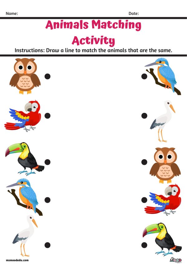 Matching Activity Worksheets (PreK) - Made By Teachers