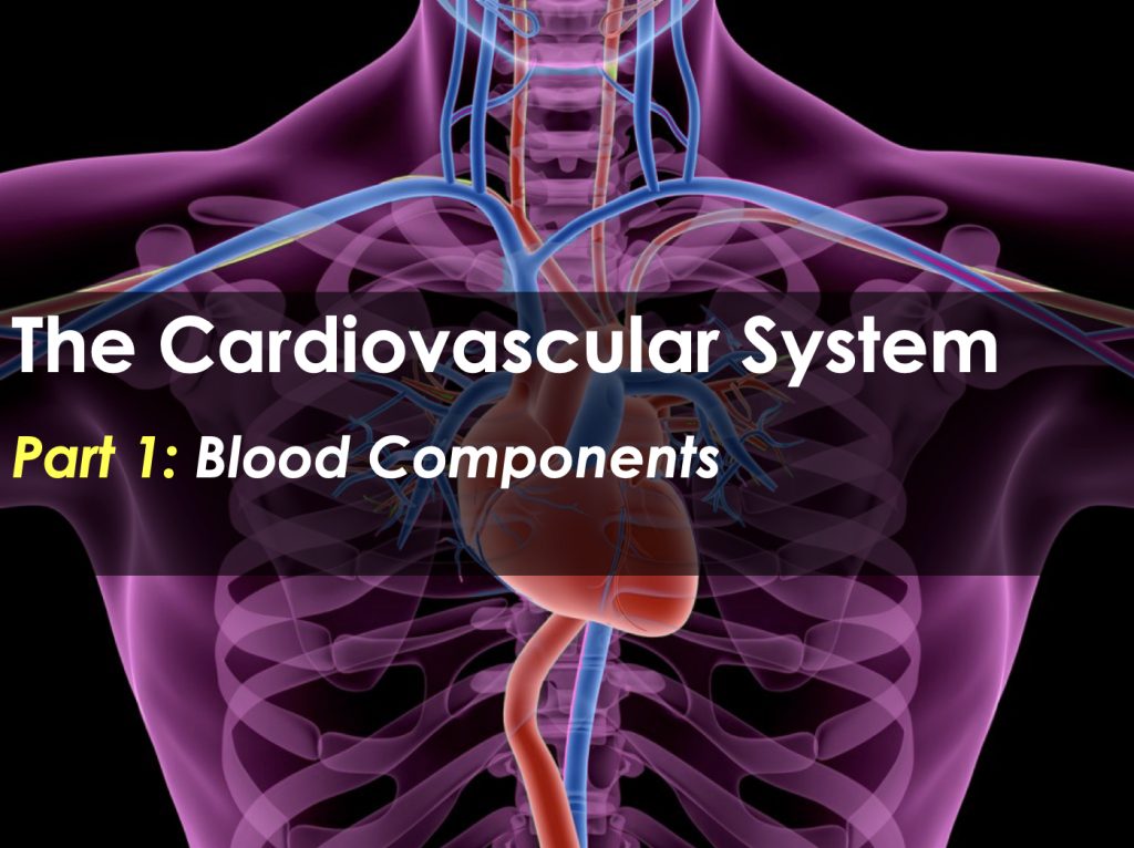 Cardiovascular or Circulatory System Advanced Presentation PPT ...