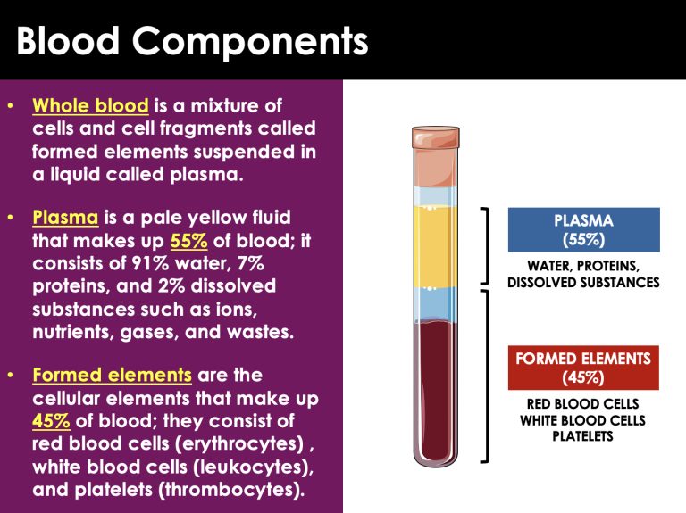 Cardiovascular or Circulatory System Advanced Presentation PPT ...