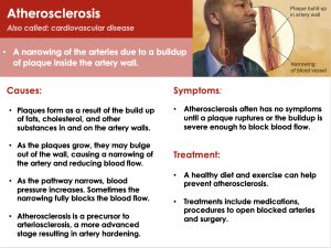 Cardiovascular or Circulatory System Advanced Presentation PPT ...