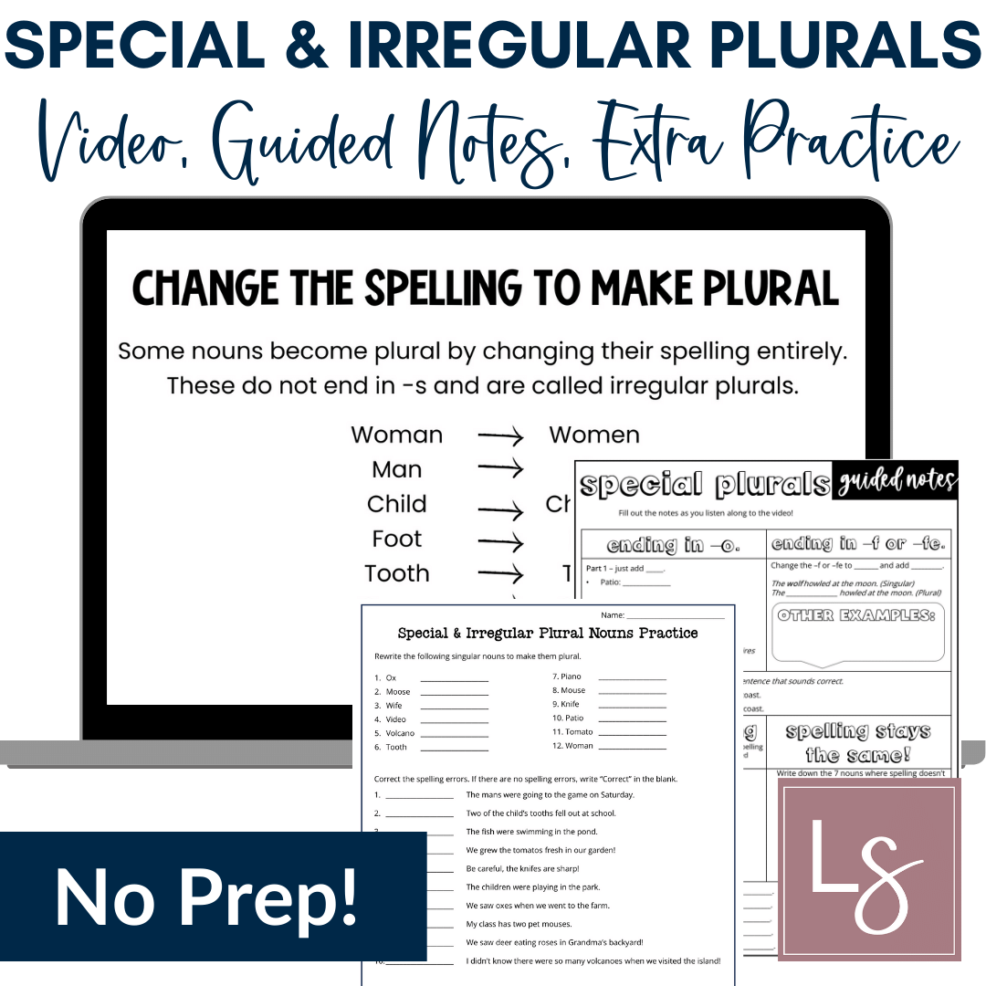 Special & Irregular Plural Nouns Grammar Video Lessons and Worksheets, 5th Grade