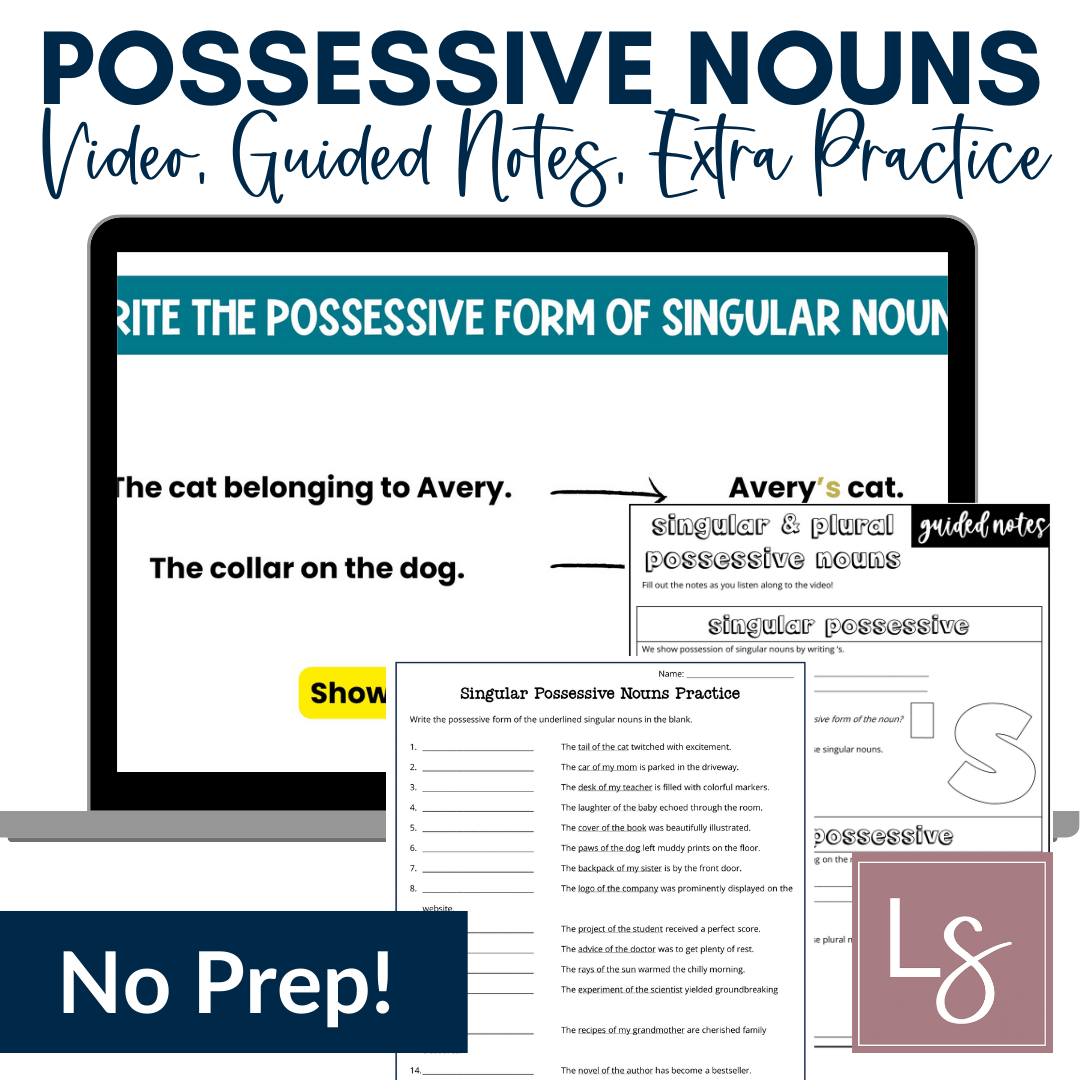 Singular and Plural Possessive Nouns Grammar Video Lessons and Worksheets