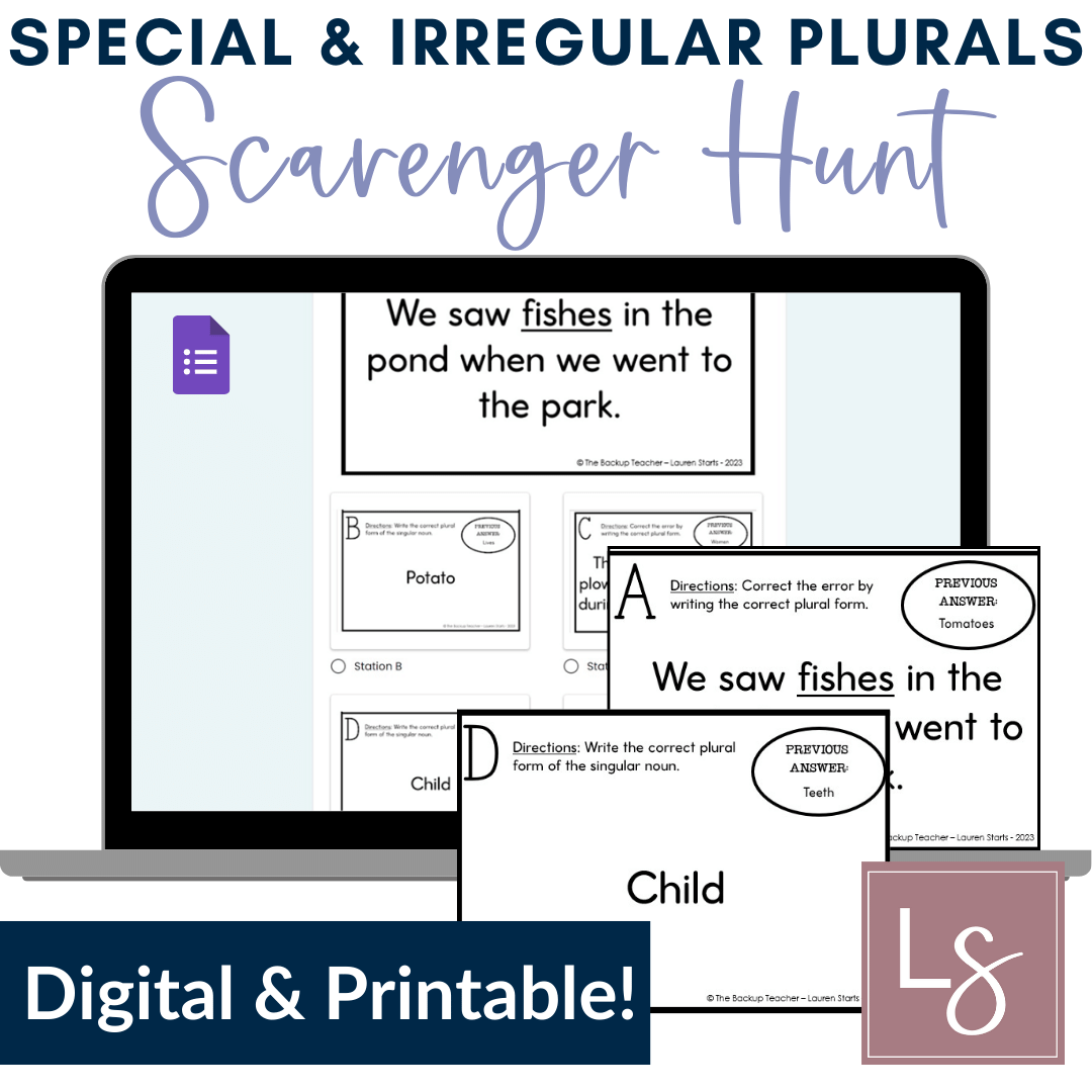 Special & Irregular Plural Nouns Practice Printable and Virtual Scavenger Hunt