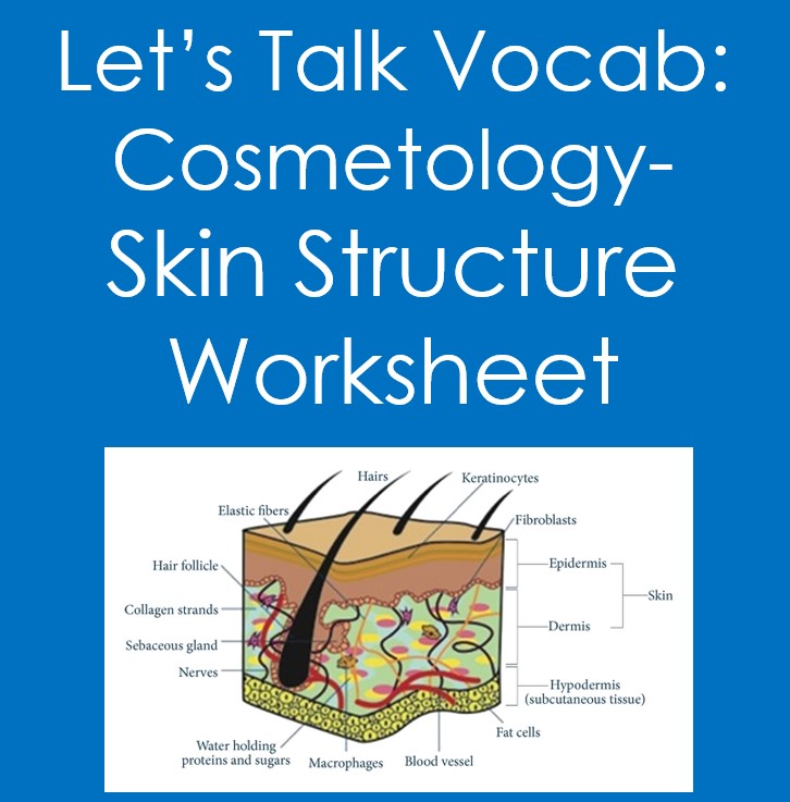 Let's Talk Vocab...Cosmetology- Skin Structure Worksheet