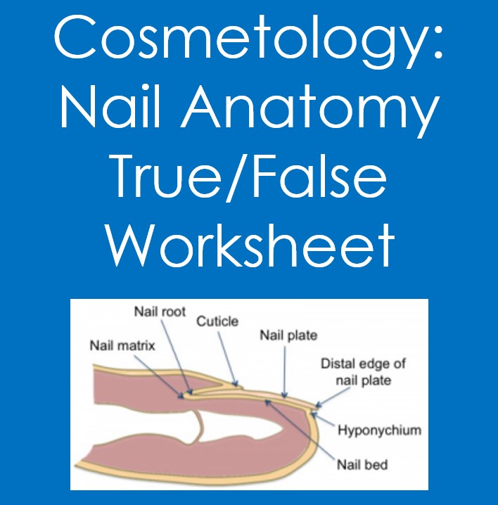 Let's Talk Vocab...Cosmetology- Nail Structure and Disorders Worksheet