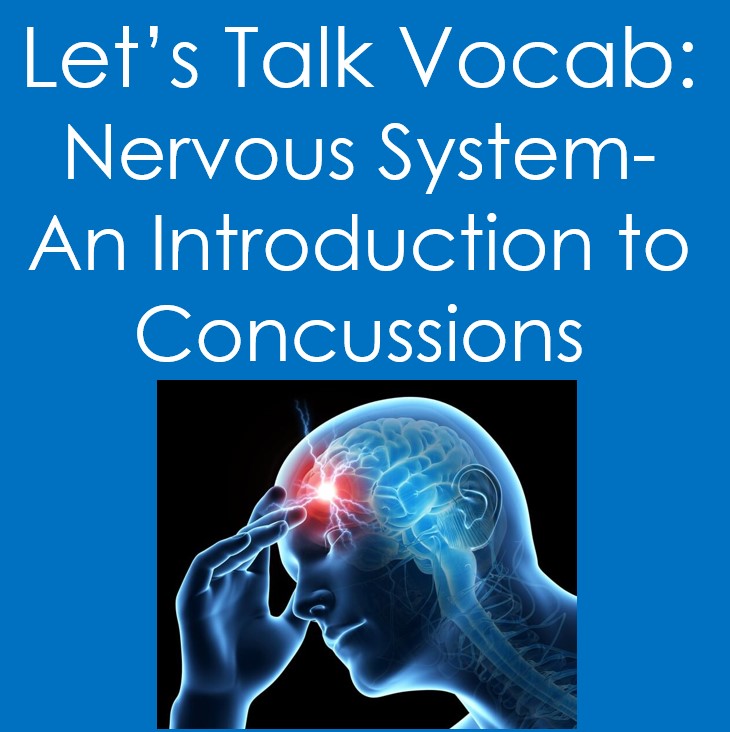 Nervous System: An Introduction to Concussions (Anatomy, Sports, Injury)