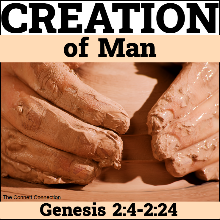 Genesis Creation Bible Study