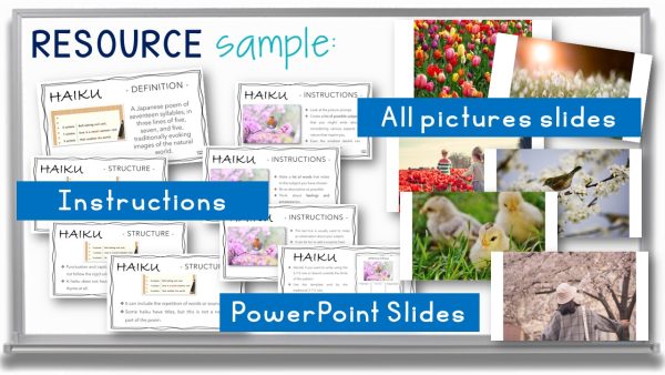 Spring Haiku Poetry Lesson - Springtime Poem Writing Activity Templates ...