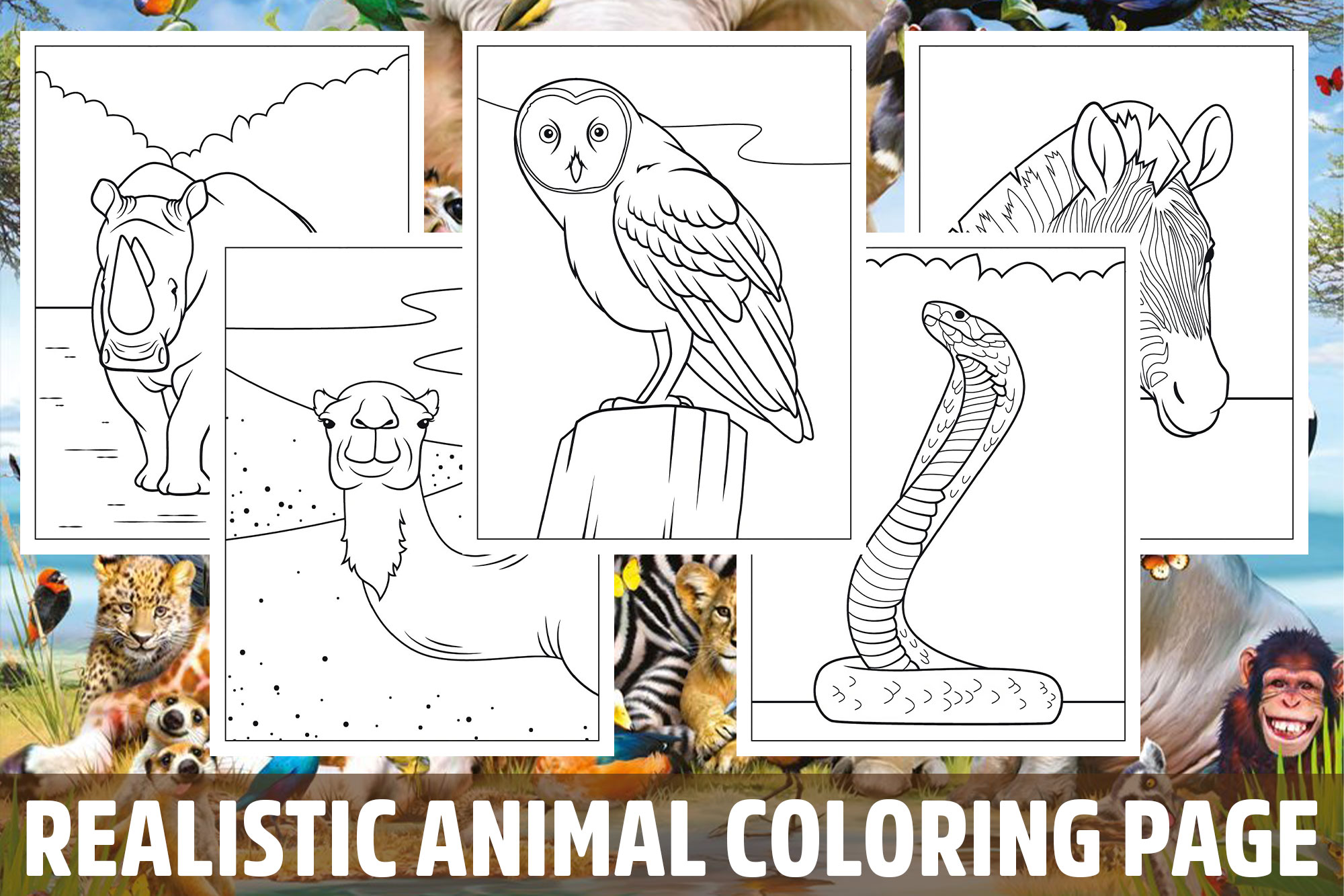 Realistic Animal Coloring Pages for Kids, Girls, Boys, Teens Activity School