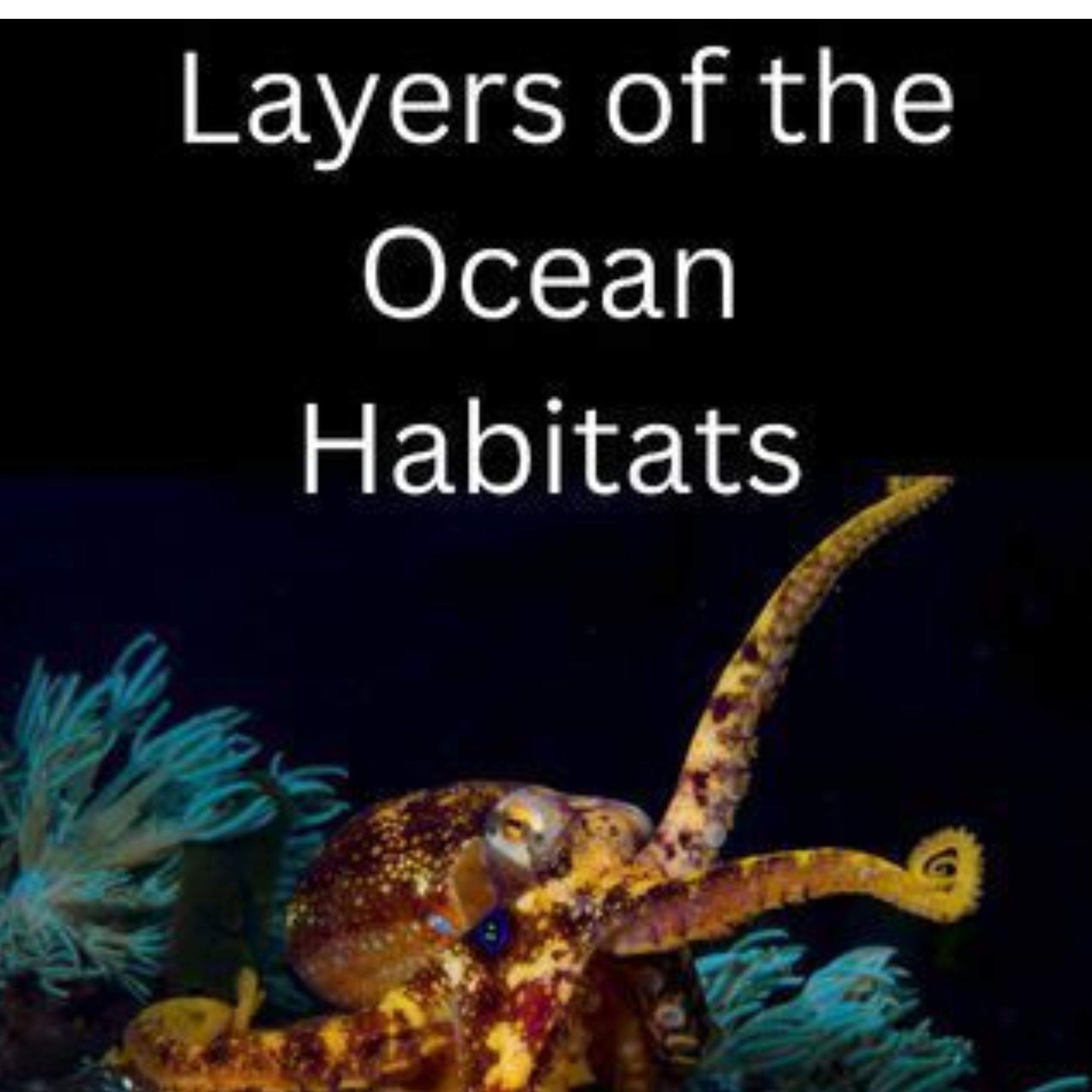 Oceanography Marine Biology Life in the Deep Middle School Science