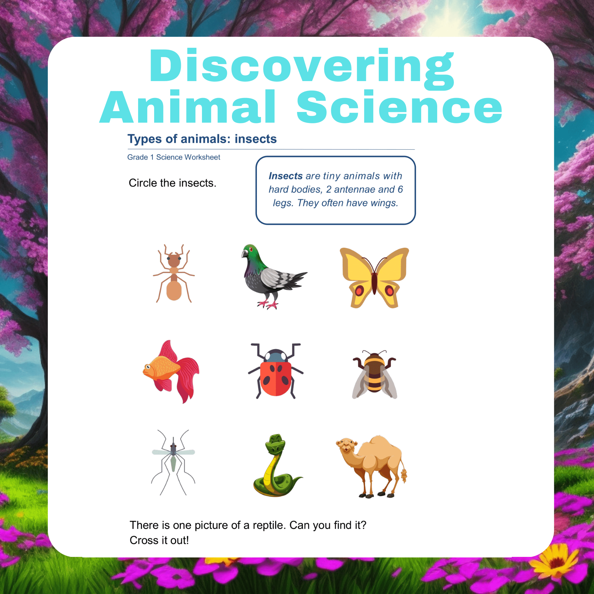 Discovering Animal Science: Grade 1 Worksheets on Animal Needs, Classification
