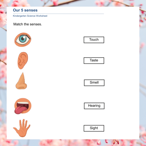 Sensory Exploration and Body Awareness Worksheets for Kids - Made By ...