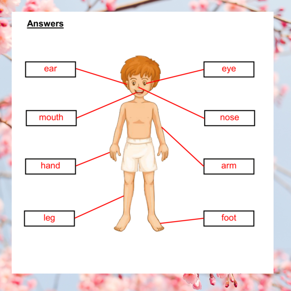 Sensory Exploration and Body Awareness Worksheets for Kids - Made By ...