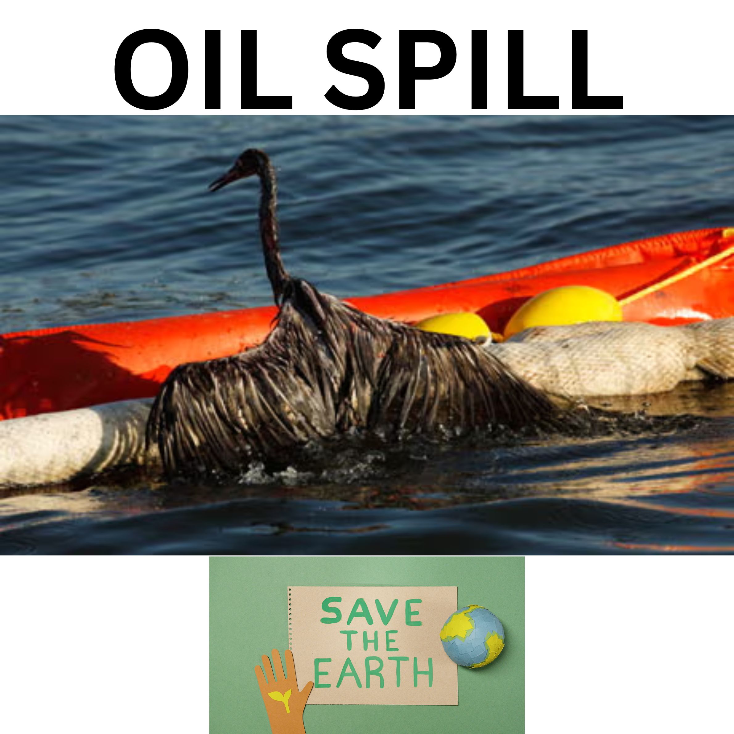 Oceanography Oil Spill Cleanup Earth Day Lesson for Middle School Students