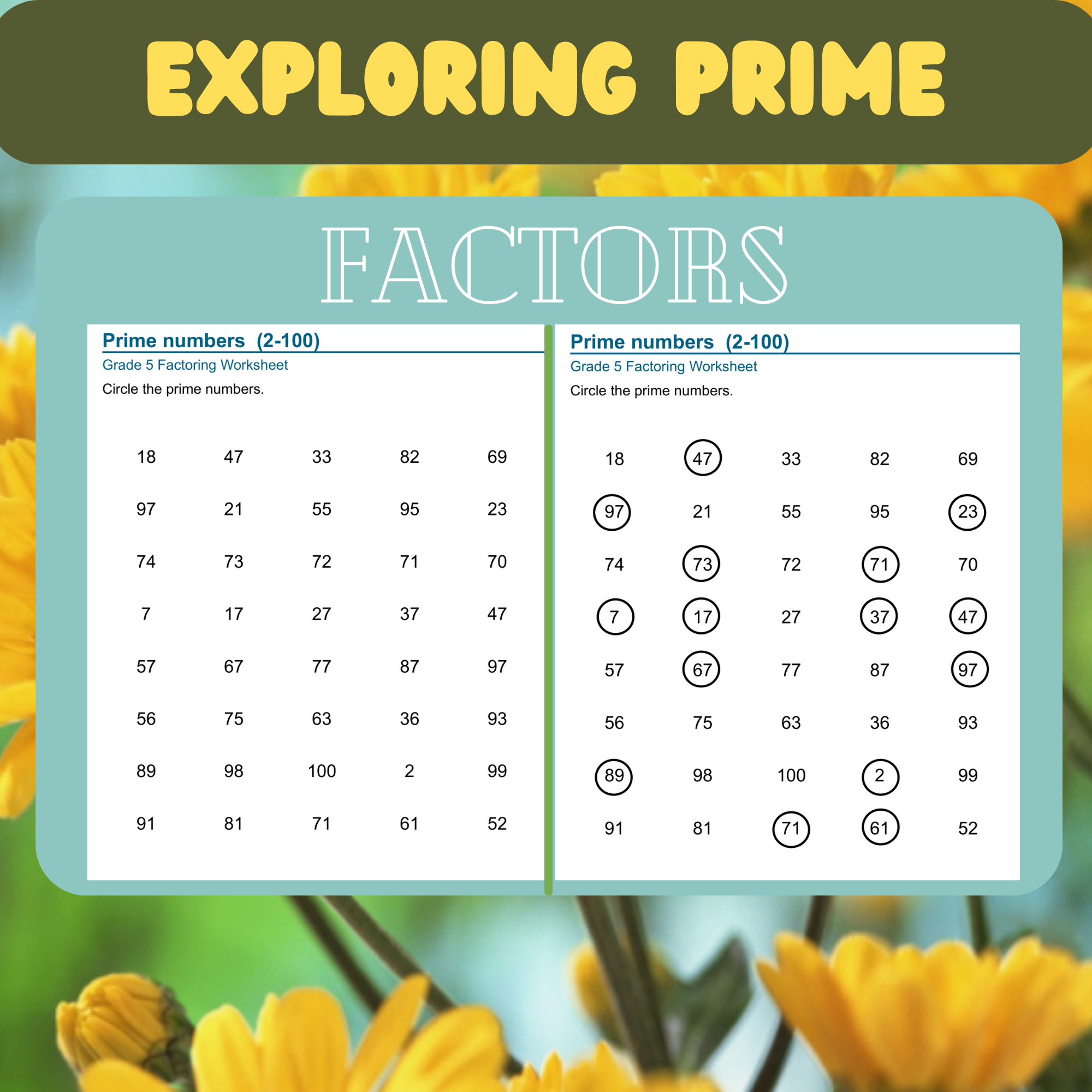Exploring Prime Factors: Grade 5 Math Worksheets