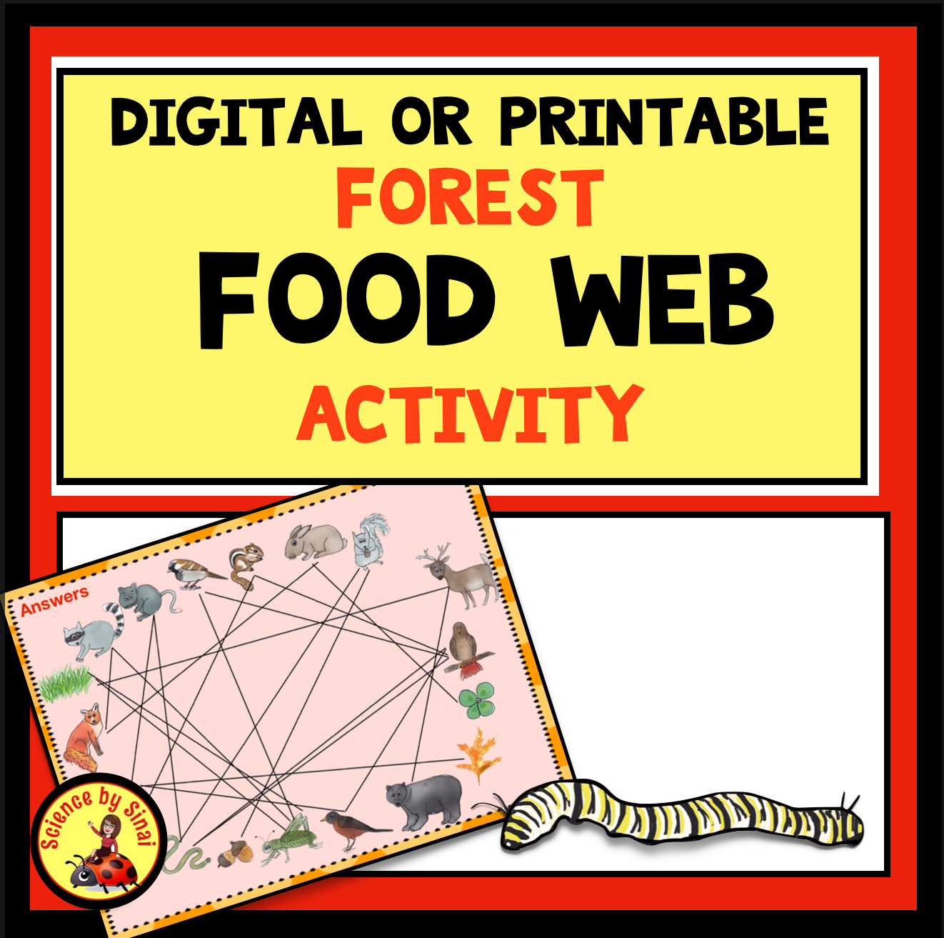 Digital or Printable Interactive Food Web Activity- Build a Forest Web