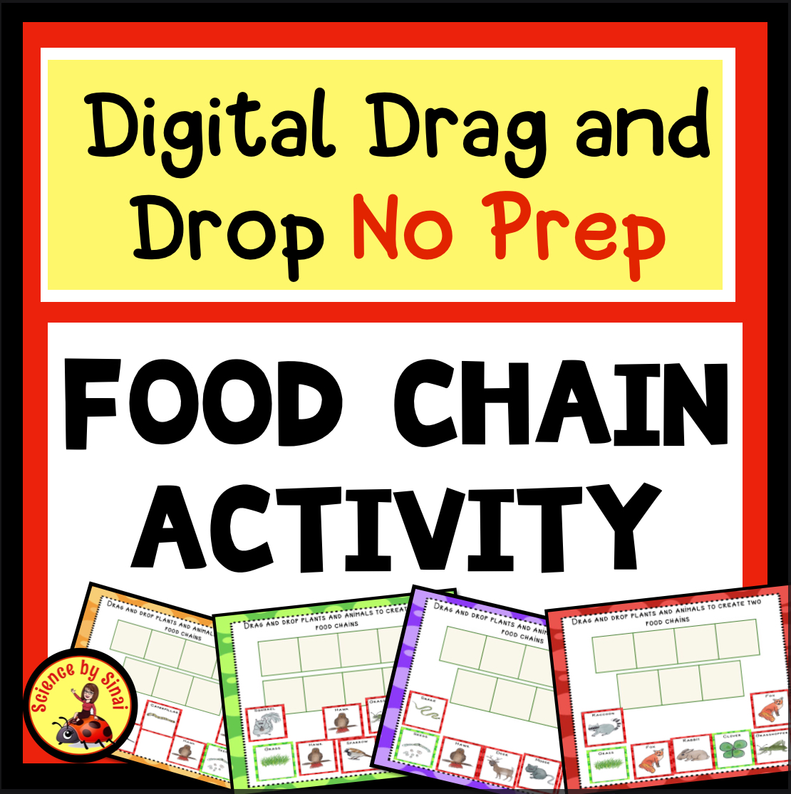 Digital FOOD CHAIN ACTIVITY Drag and Drop